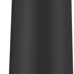 Esbit Pictor Sports Drinking Bottle 550ml, argent